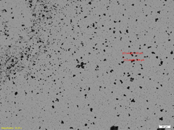microscop inversat